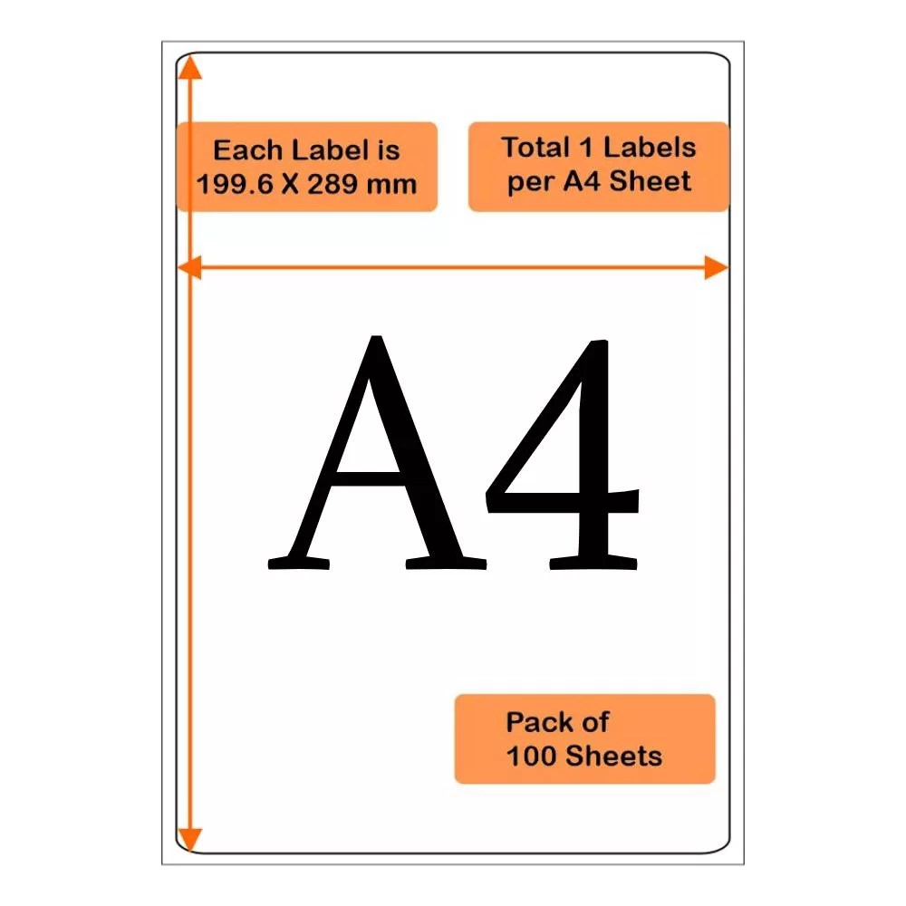 Understanding A4 Document Size in Centimeters